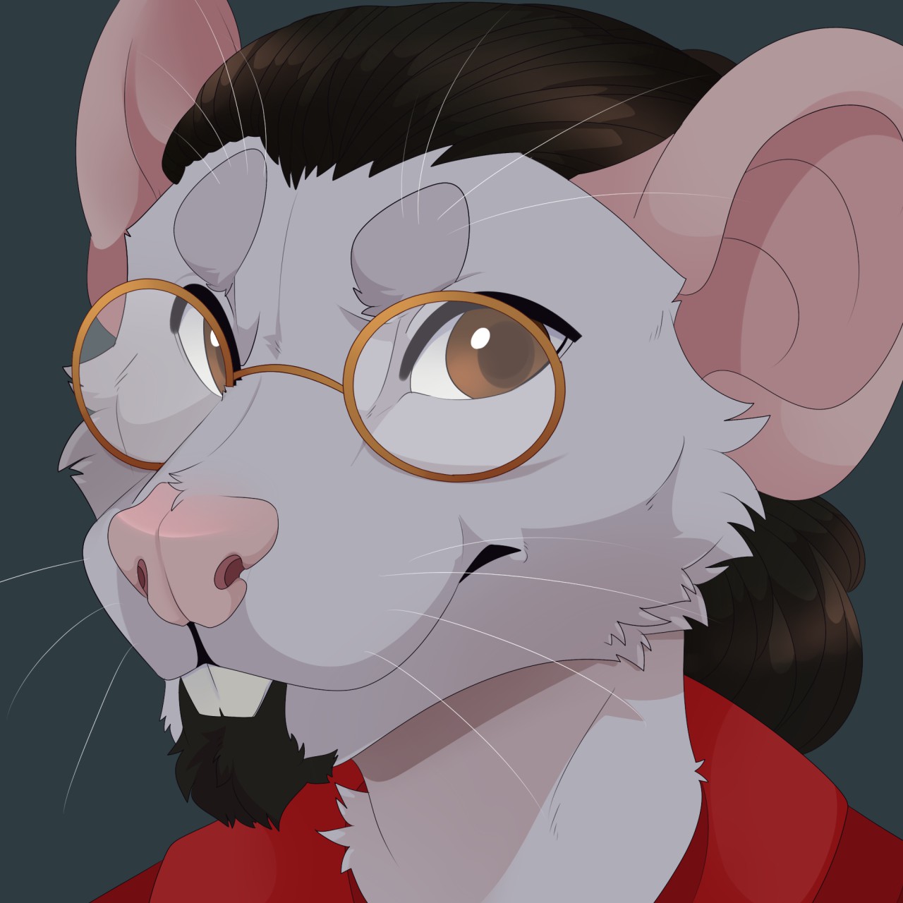 Grey rat portrait with glasses
